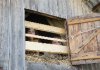 ''Наш чердак', Антон Михеев, г. Екатеринбург'